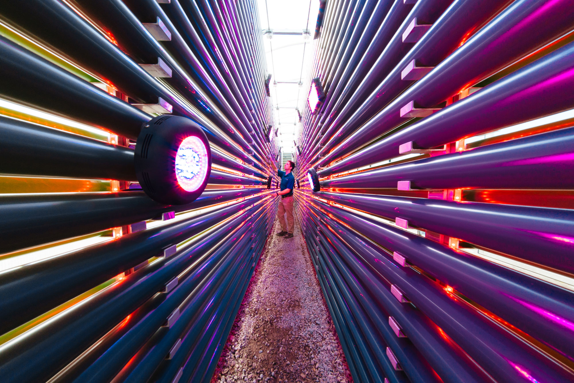 Person surrounded by pipes and lights