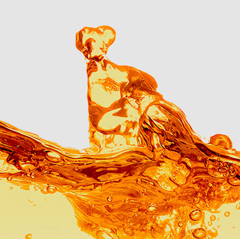 top of orange liquid splashing on white background