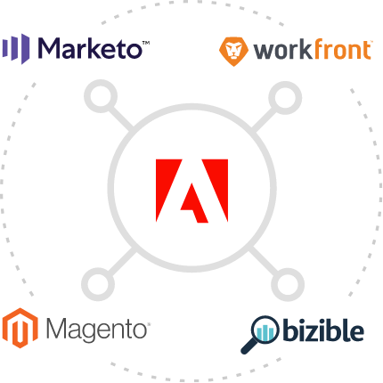 Adobe web